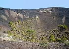 Blick in den Krater vom Vulkan San Antonio, oben das Dorf Fuencaliente : trockene Kiefern